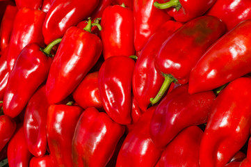 Autumn Color Pumpkins im Whole Foods Market.  Raw vegetables and fruits background. Healthy organic food concept