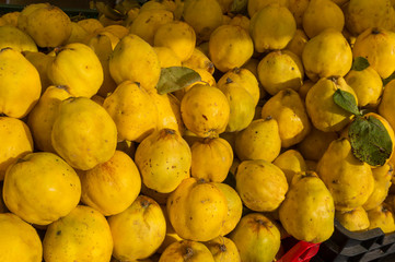 Autumn Color Pumpkins im Whole Foods Market.  Raw vegetables and fruits background. Healthy organic food concept