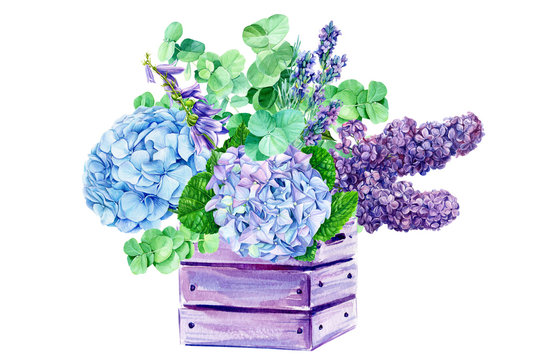 bouquet of flowers in a wooden box, blue hydrangea, bells, lilac, eucalyptus, watercolor painting, on white background
