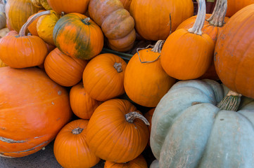 Fresh vegetables. Raw vegetables and fruits background. Healthy organic food concept