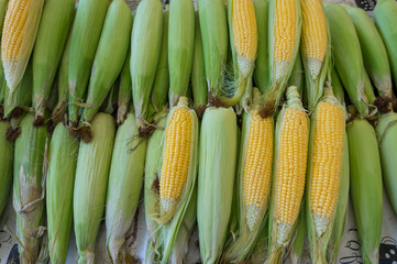 Fresh vegetables. Raw vegetables and fruits background. Healthy organic food concept