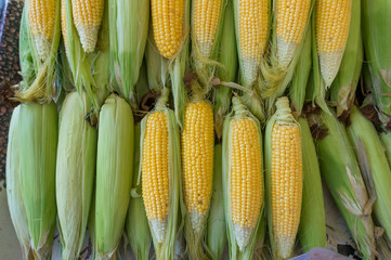 Fresh vegetables. Raw vegetables and fruits background. Healthy organic food concept