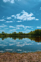 Fototapeta na wymiar Reflection landscape vertical