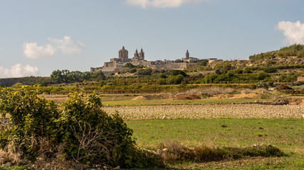 Fototapeta na wymiar view of the ancient town mdina, malta island