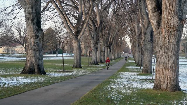 Riding bicycle through an alley of old American elm trees with distant people walking - historic Oval at Colorado State University in Fort Collins, late fall scenery