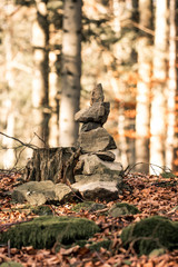 Obraz premium nature