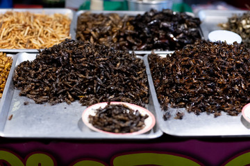 Assorted fried insects Street food of Thailand.