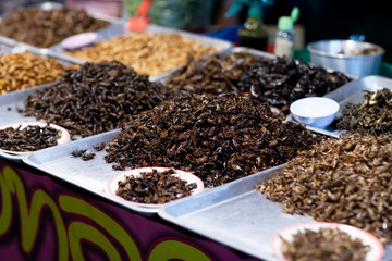 Assorted fried insects Street food of Thailand.