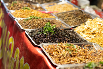 Assorted fried insects Street food of Thailand.