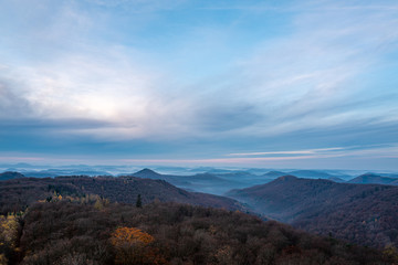 morgenlicht über dem nebel im pfälzer wald