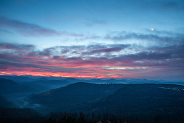Fototapeta premium kurz vor sonnenaufgang im pfälzer wald