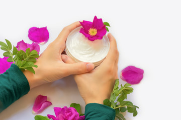 Young female hands are holding jar with white anti-ageing moisturizing cream with dog rose oil essential and vitamin E on white background with bright pink dog roses, petals and green leaves