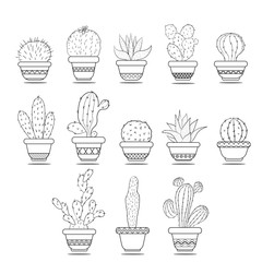 Cacti in the pots. Isolated black white illustration on white background.