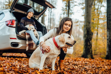 Walking with dogs in the autumn forest, owners with golden labrador relaxing near the car.