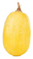 organic spaghetti squash Cucurbita pepo vegetable