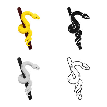 Isolated object of snake and yellow symbol. Graphic of snake and jungle stock vector illustration.