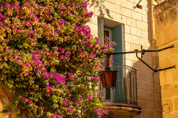 beatiful windows and doors in the street of ancient mdina town, malta