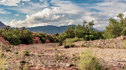 The desert landscape of Red Rock Canyon State Park under a looming storm cloud near Las Vegas, Nevada, USA.