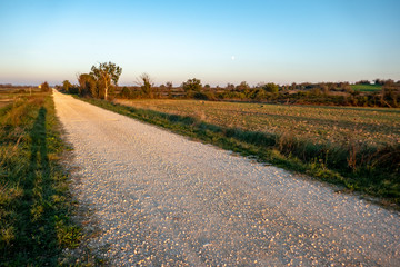 paesaggio viticolo nel sud della Francia