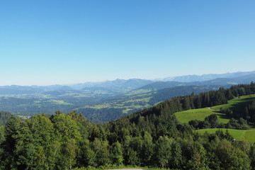 Fototapeta premium OLYMPUS DIGITAL CAMERA