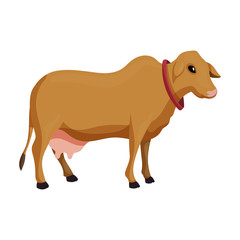 Cow of animal vector icon.Cartoon vector icon isolated on white background cow of animal.