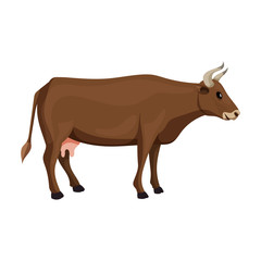Cow of animal vector icon.Cartoon vector icon isolated on white background cow of animal.