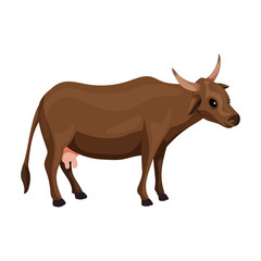 Cow of animal vector icon.Cartoon vector icon isolated on white background cow of animal.