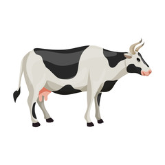 Cow vector icon.Cartoon vector icon isolated on white background cow.