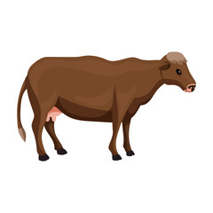 Cow of animal vector icon.Cartoon vector icon isolated on white background cow of animal.