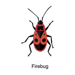 Insect firefly vector icon.Cartoon vector icon isolated on white background insect firefly .