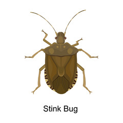 Bug stink vector icon.Cartoon vector icon isolated on white background bug stink.