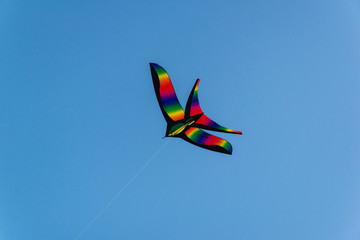 Colorful kite flying in the blue sky