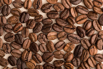 coffee beans background