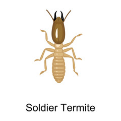 Soldier termite vector icon.Cartoon vector icon isolated on white background soldier termite.