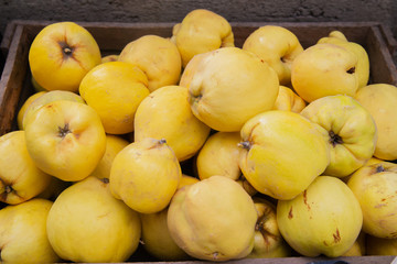 Juicy ripe quince in a box close-up