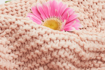 rose wool texture knitting textil pattern cloth yarn closeup