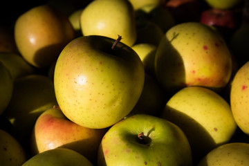 Green Apple Harvest