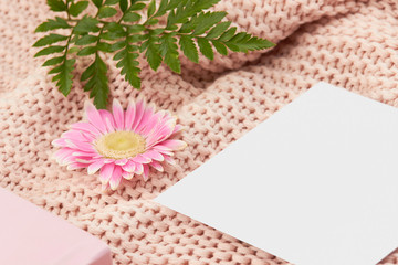 pink flower white paper card on rose peach pink wool blanket cozy green foliage