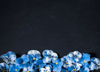  Pansy Flower Bouquet. Blue Flowers on Black Background. Top view, Flat lay, Copy Space © AllNikArt