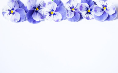 Pansy Flower Bouquet. Purple Flowers on White Background. Top view, Flat lay, Copy Space