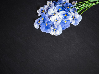Pansy Flower Bouquet. Blue Flowers on  Black Background. Top view, Flat lay, Copy Space