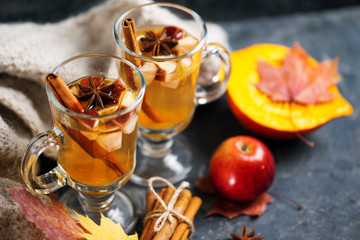 Hot autumn and winter alcoholic drink sangria or cider on the table with Apple, pumpkin, cinnamon, anise