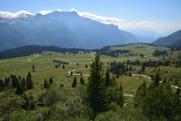Fototapeta na wymiar Friuli - altopiano del Montasio