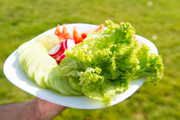 Much more than salad. Plate with healthy food. Vegetarian food. Healthy leafy greens. Organic...
