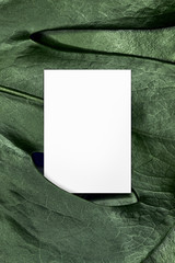 monstera macro tropical leaf green leaves business card mockup blank natural organic green greenery foliage