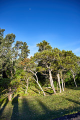 Mauritius landscapes