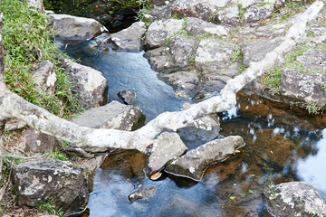 Mauritius landscapes