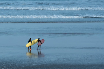 Surfeurs sur la plage