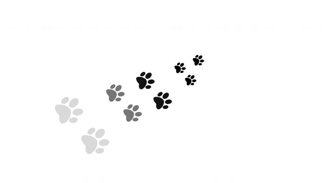 Dog or cat footprints on a white background
