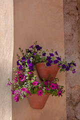 Fototapeta na wymiar Blumendekoration an einer Hauswand mit Petunien